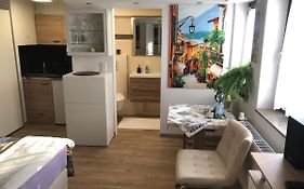 Ferienwohnung Apartment Dettum mit eigenem Bad, Kochnische und Wintergarten